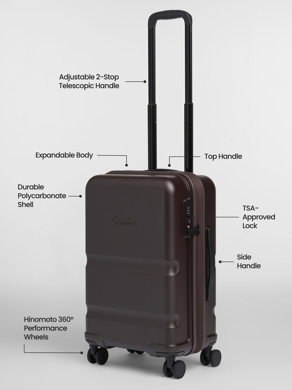 Carry-On Companion Luggage